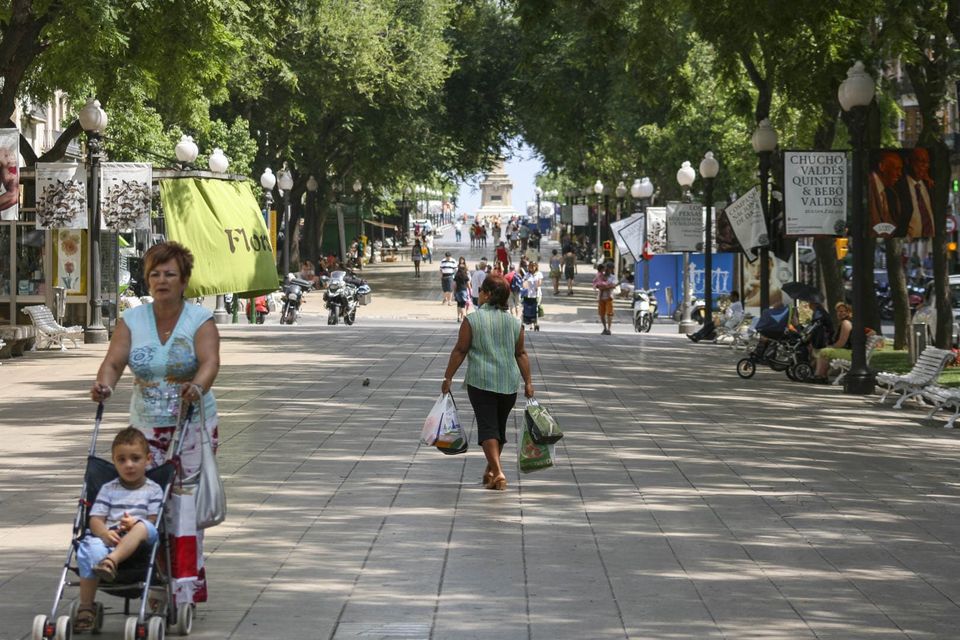 Tree-lined pedestrian boulevard with a woman pushing a stroller