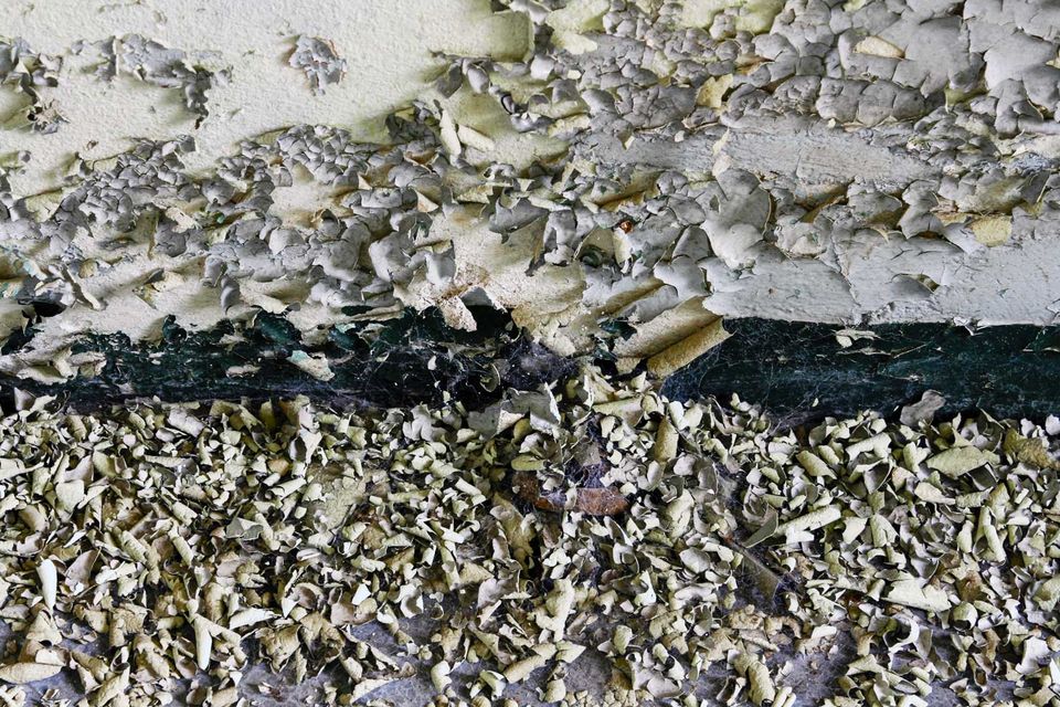 Flakes of peeled paint and dry leaves on the floor