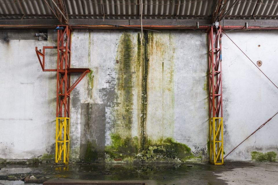 Moss-stained wall between red and yellow steel columns