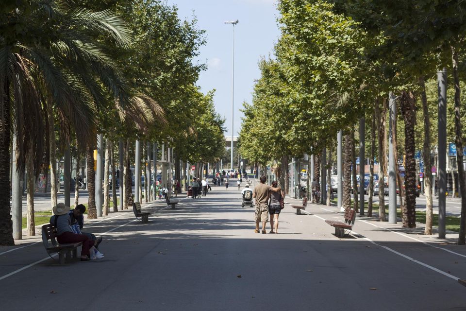 Palm- and plane-tree-lined avenue with a couple walking