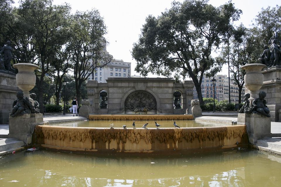 Fountain pool with pigeons and sculpted figures in a shaded plaza