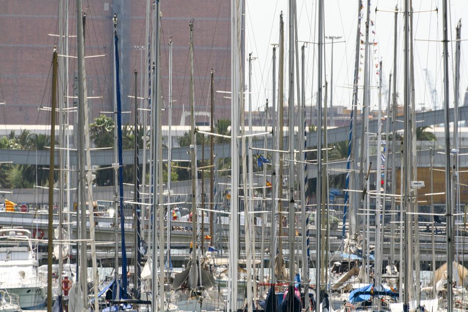 Dense forest of yacht masts in a marina