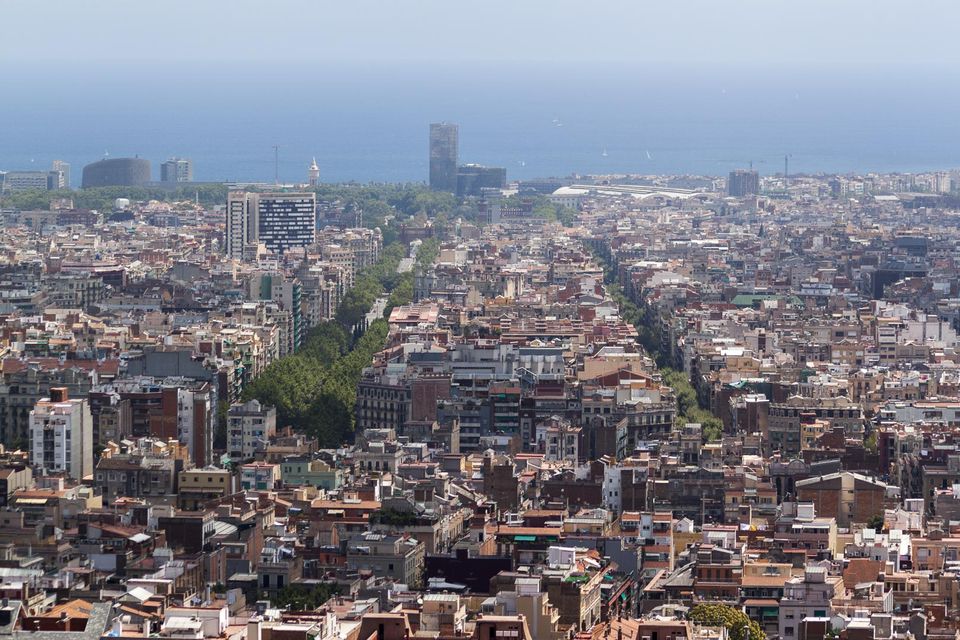 Rooftops of the city with a green avenue and the sea beyond