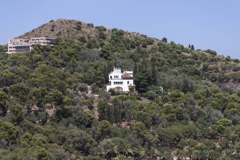 White villa among pines on a hillside