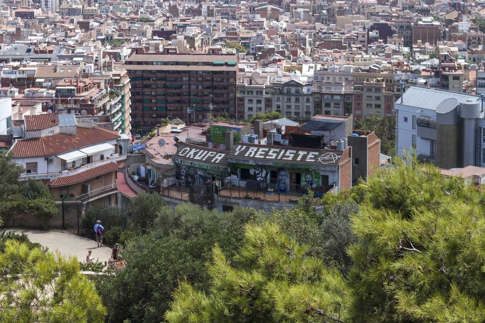 Rooftop with graffiti lettering seen over pine trees