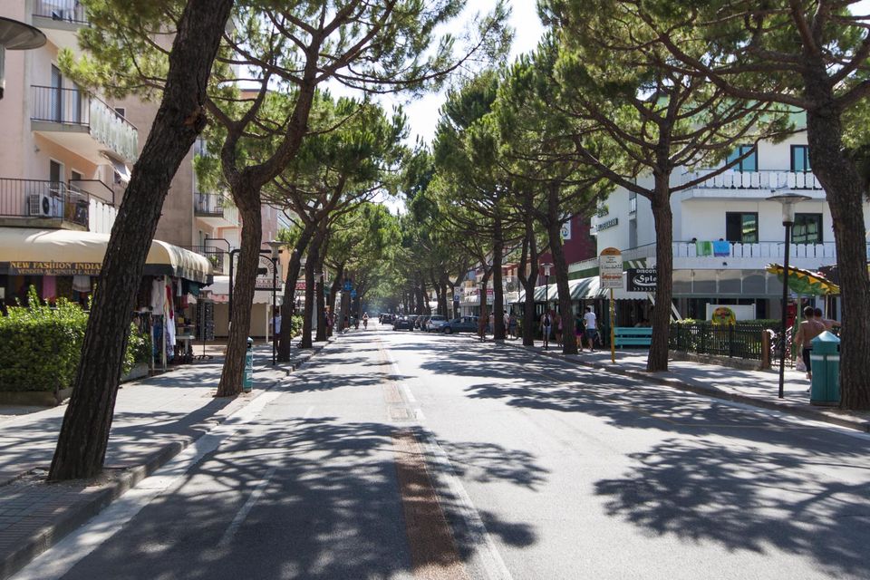 Quiet pine-lined avenue with dappled shade and hotel balconies
