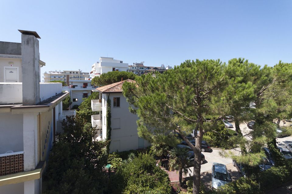 View over umbrella pines and low hotels from a balcony