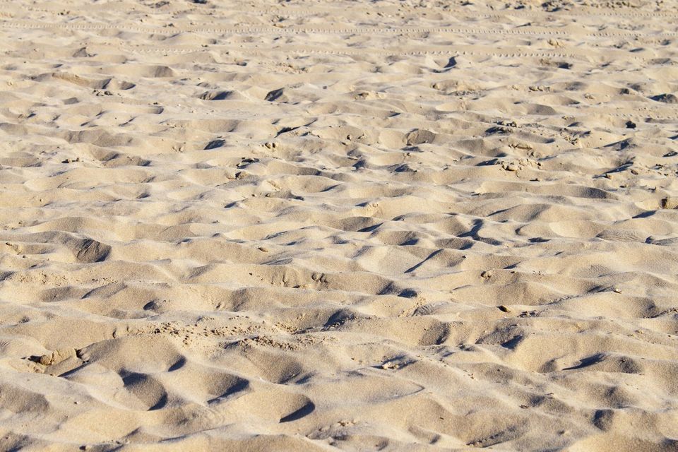 Rippled sand covered in footprints
