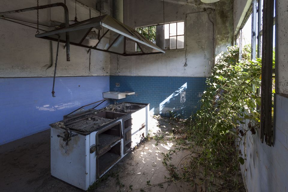 Old cooking range under an extractor hood in an overgrown kitchen