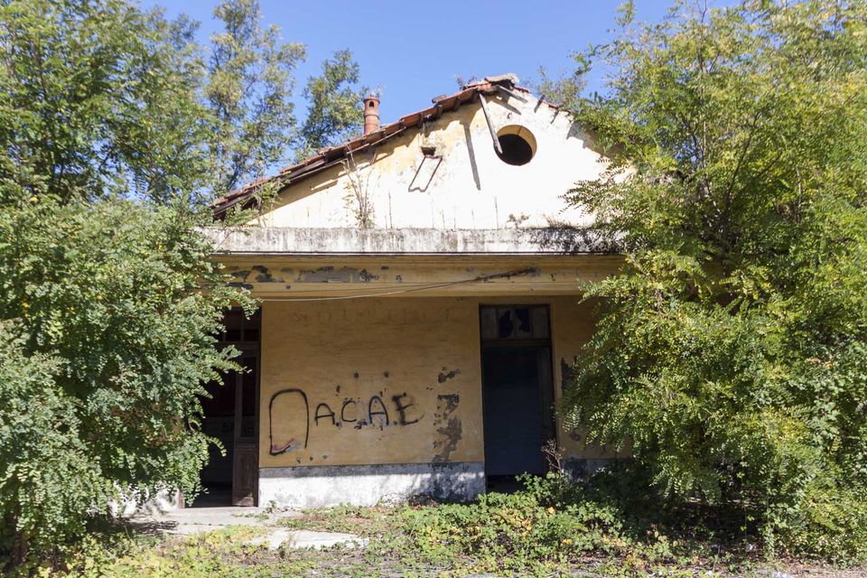 Yellow building entrance swallowed by trees and scrawled with graffiti