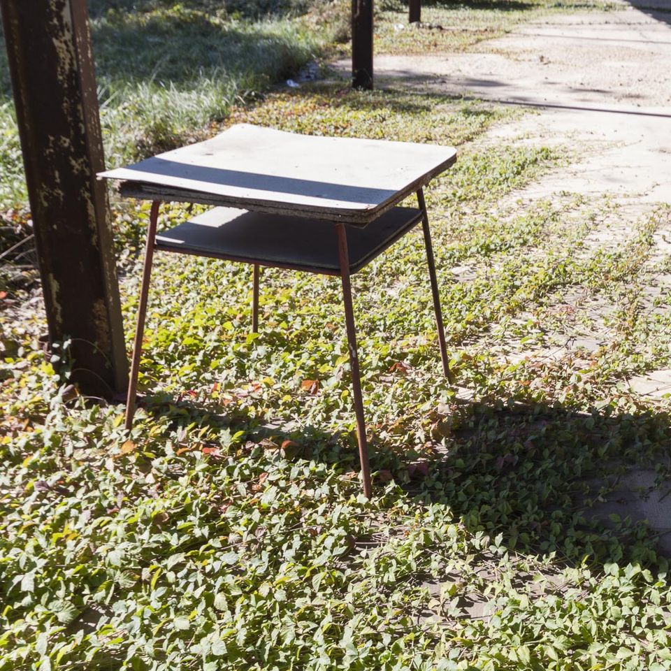 Small metal-legged table on a lawn of ivy under trees