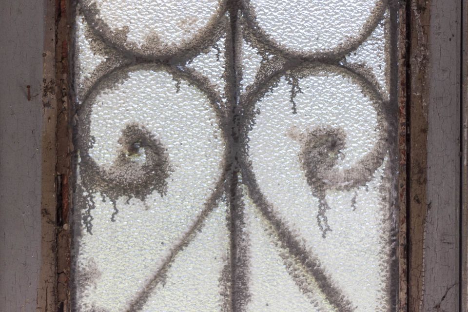 Dusty frosted glass panel with a scrolled ironwork pattern