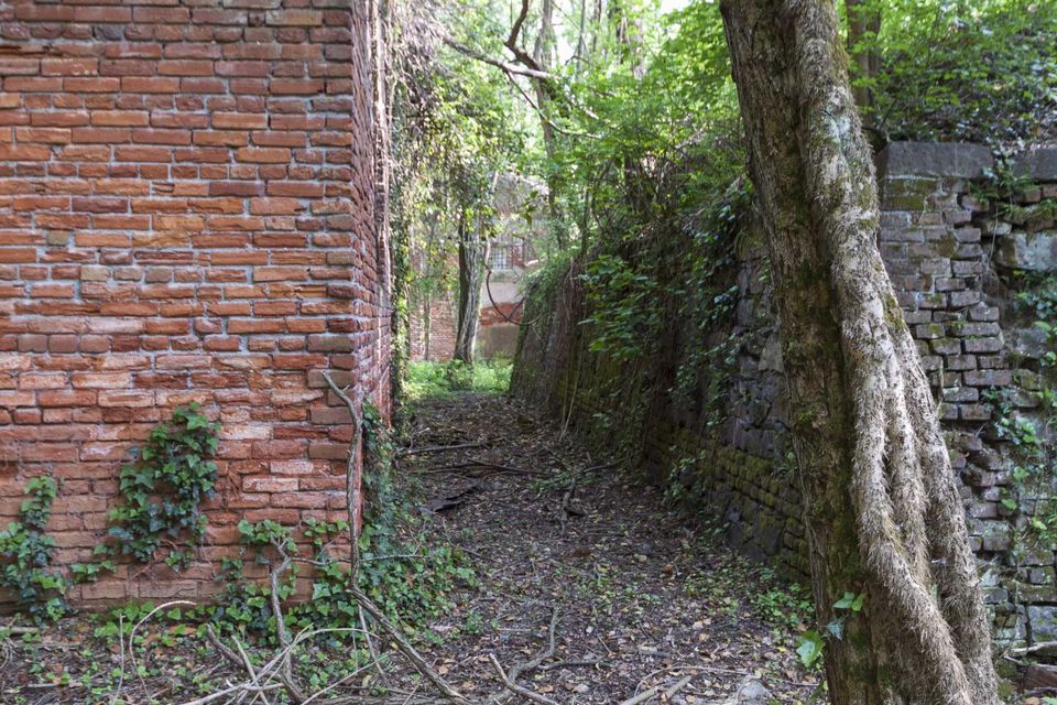Red brick wall corner and mossy stone wall along a leafy path