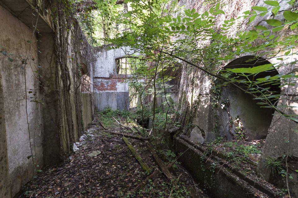 Overgrown passage between a concrete wall and an arched opening