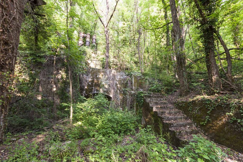 Stone steps and ruined walls in the forest with barrels on top