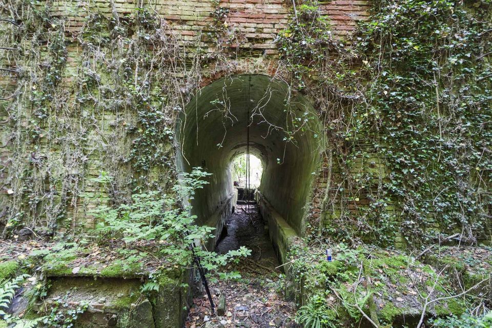 Mossy brick tunnel entrance with daylight at the far end