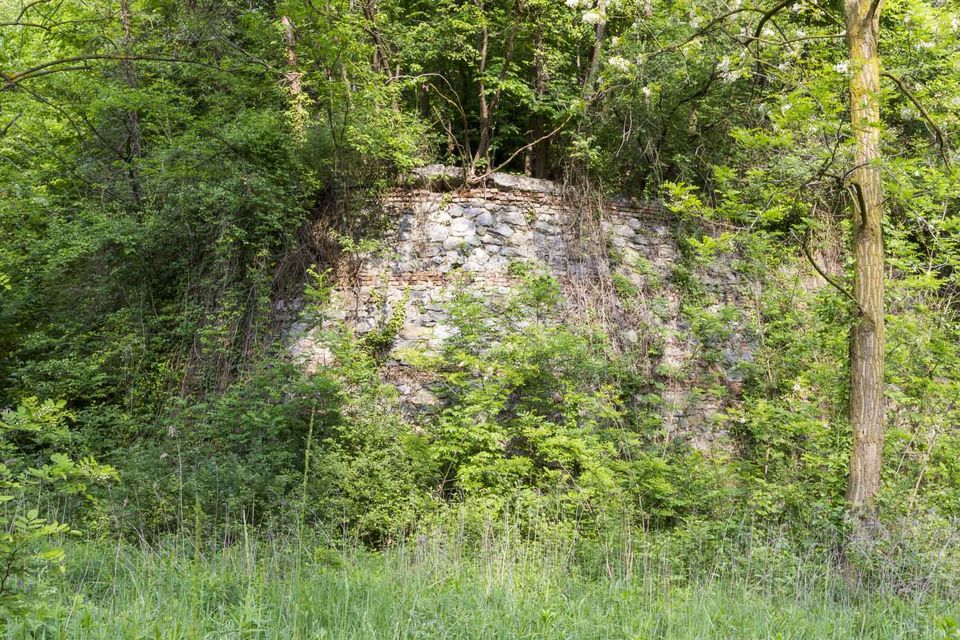 Crumbling stone wall hidden in the undergrowth