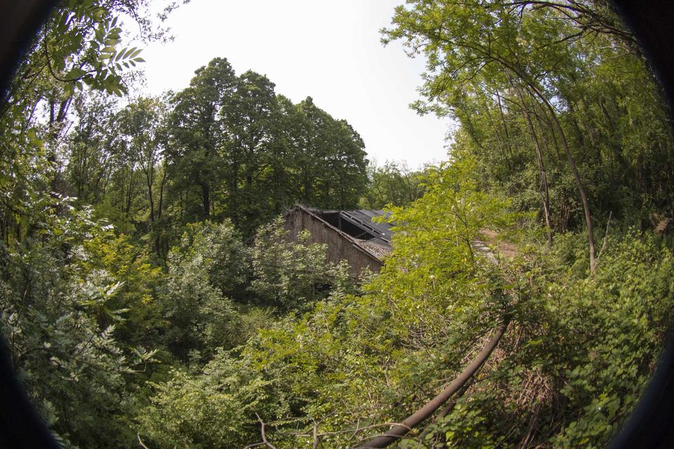Collapsed roof of an abandoned building among trees