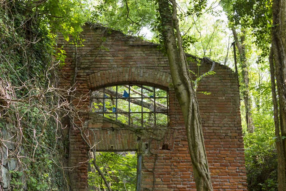 Brick gable wall with an arched window among trees