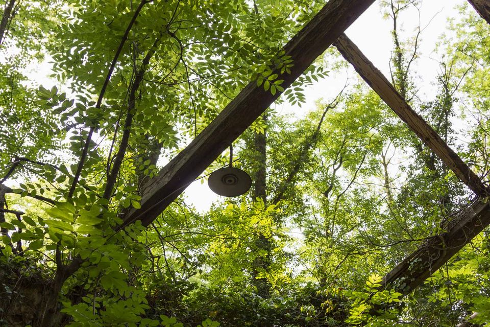 Wooden roof beams and an old lamp under green leaves