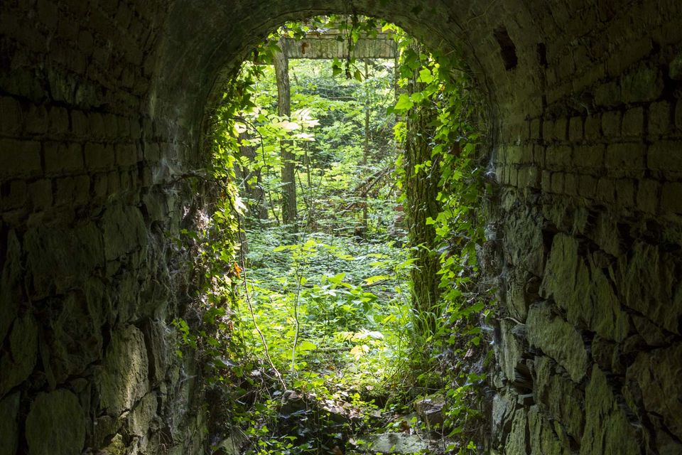 Brick-lined tunnel opening onto green forest