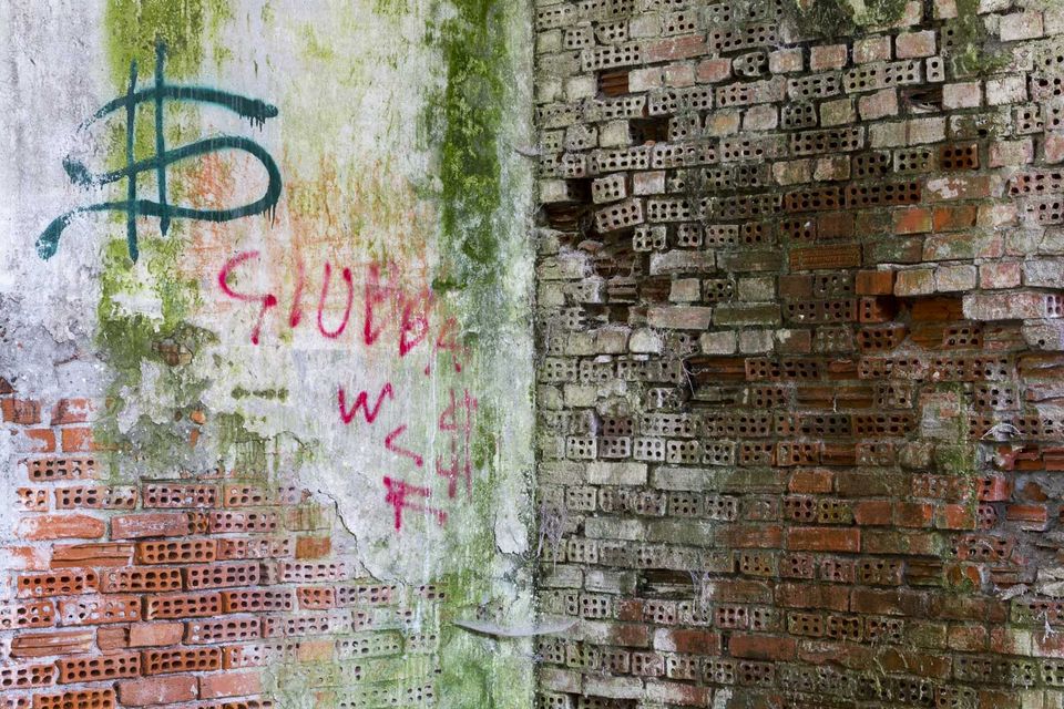 Graffiti on a mossy brick wall with exposed hollow bricks