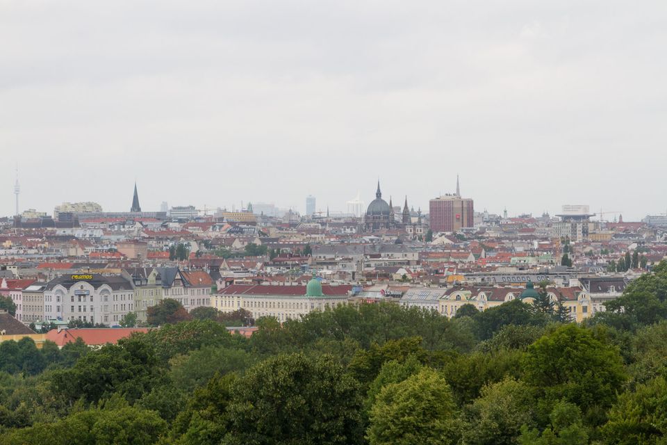 City rooftops and church domes in haze above treetops