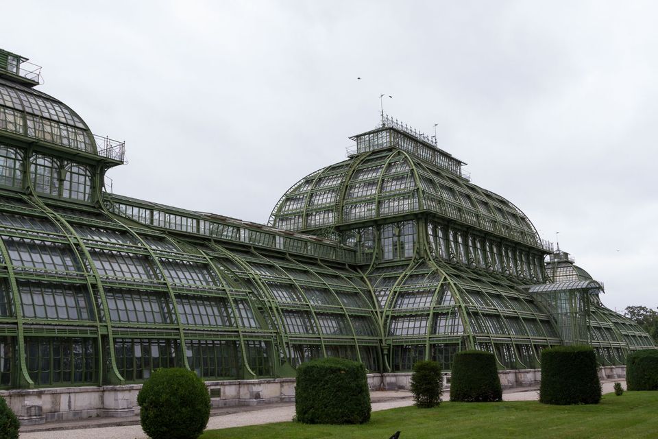 Large green iron-and-glass palm house