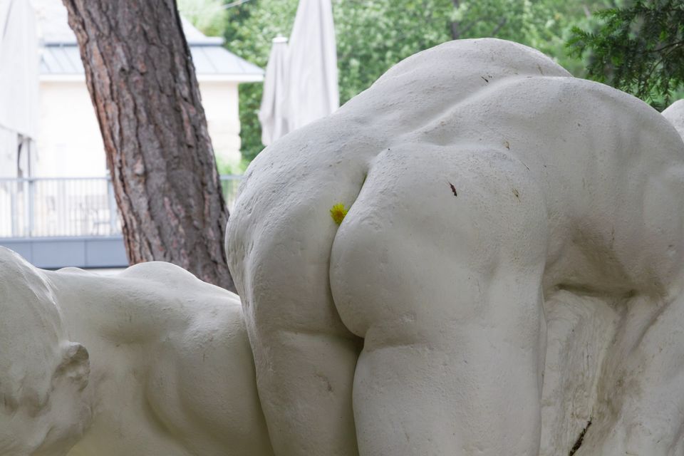 Close-up of reclining marble figures beside a pine trunk