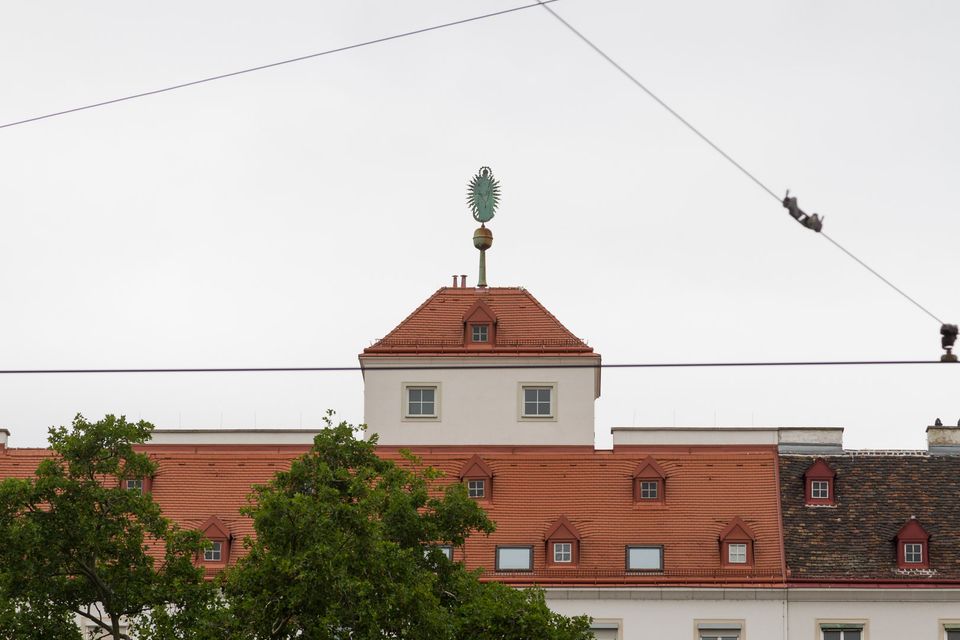 Orange tiled roof with a green feather finial above overhead wires