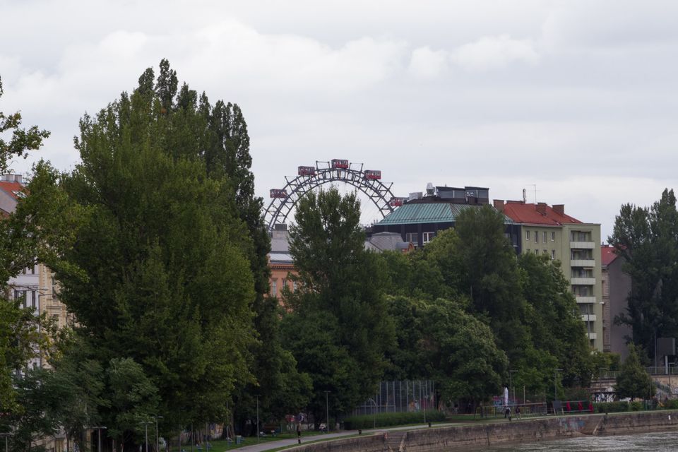 Ferris wheel above trees beside a canal