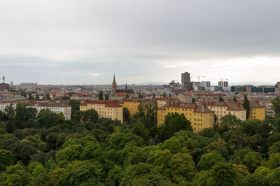 Treetops and rooftops of the city under a heavy sky
