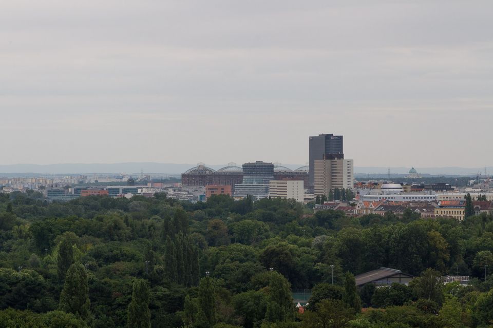 Hazy city skyline beyond a belt of trees