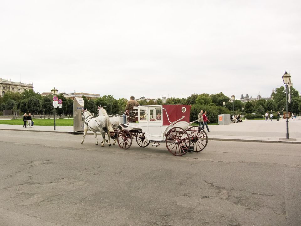 White horse-drawn carriage on a nearly empty square