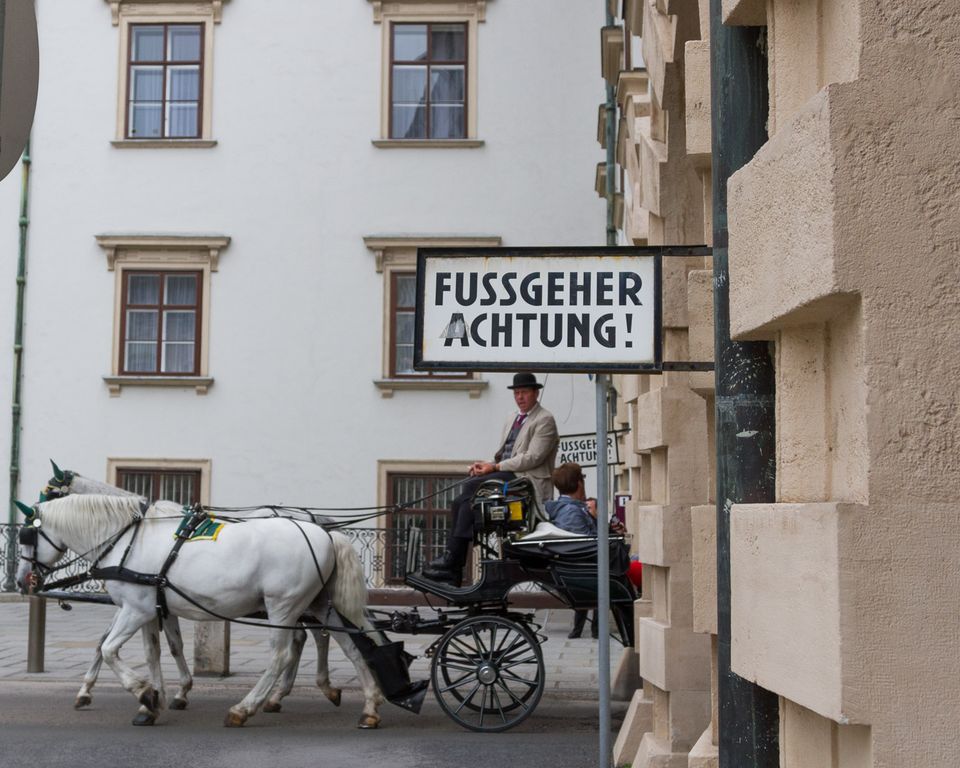 White horse carriage behind a pedestrian warning sign