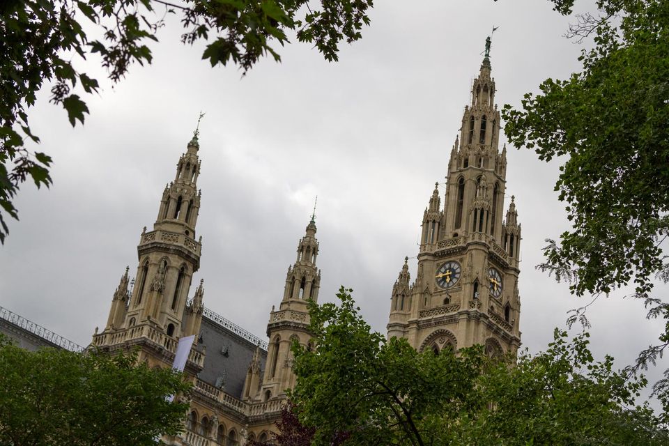 Neo-Gothic town hall towers with clocks seen through leaves