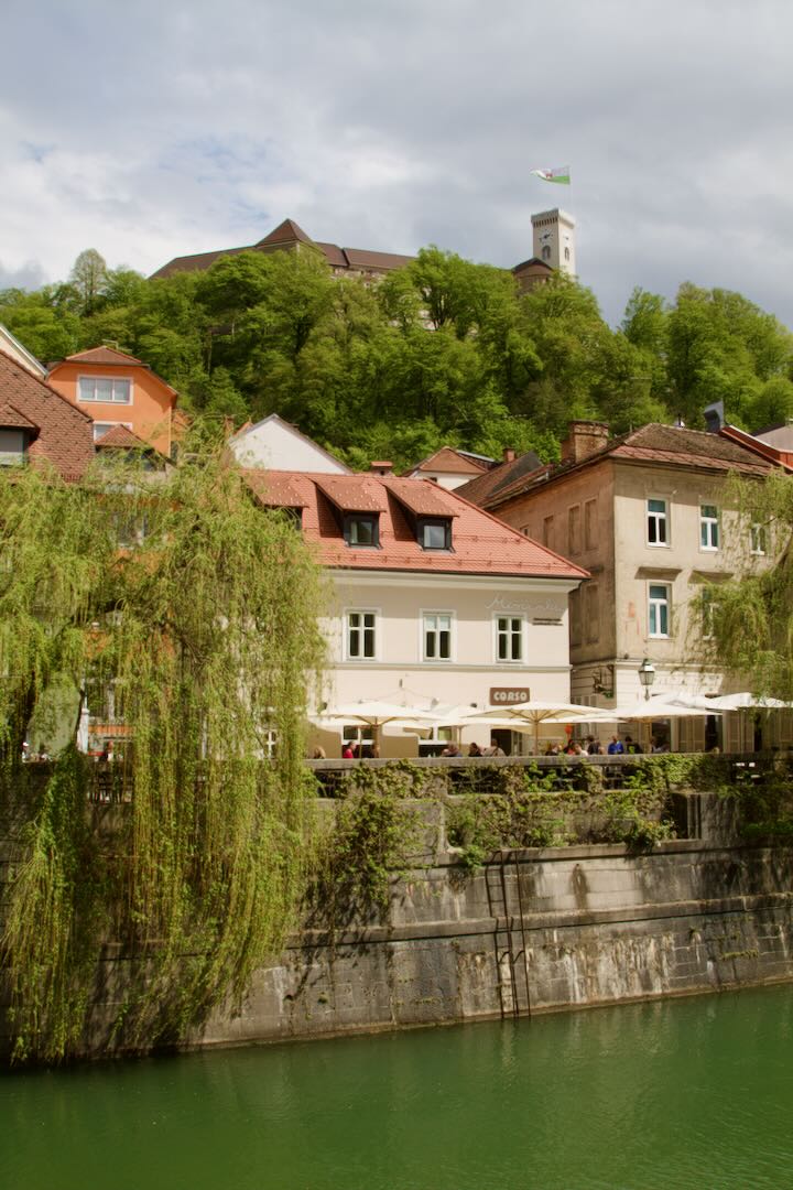 Castle hill above old houses and a weeping willow by the river