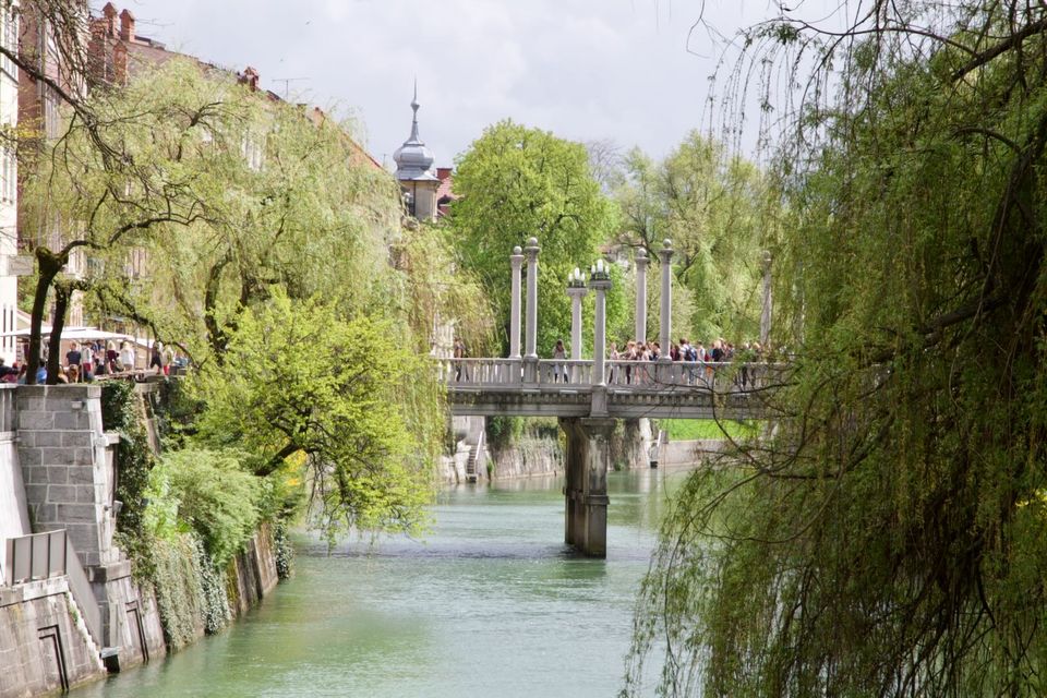 Cobblers' Bridge and its columns framed by weeping willows