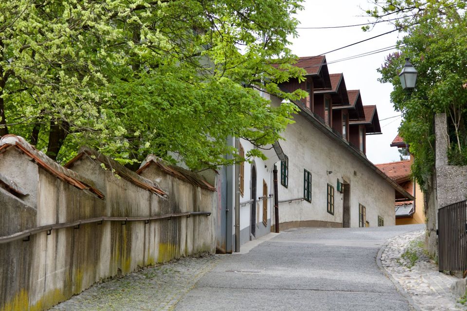 Path along an old wall below the castle, under spring trees