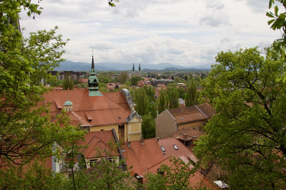 Rooftops and a church spire framed by trees on the castle hill