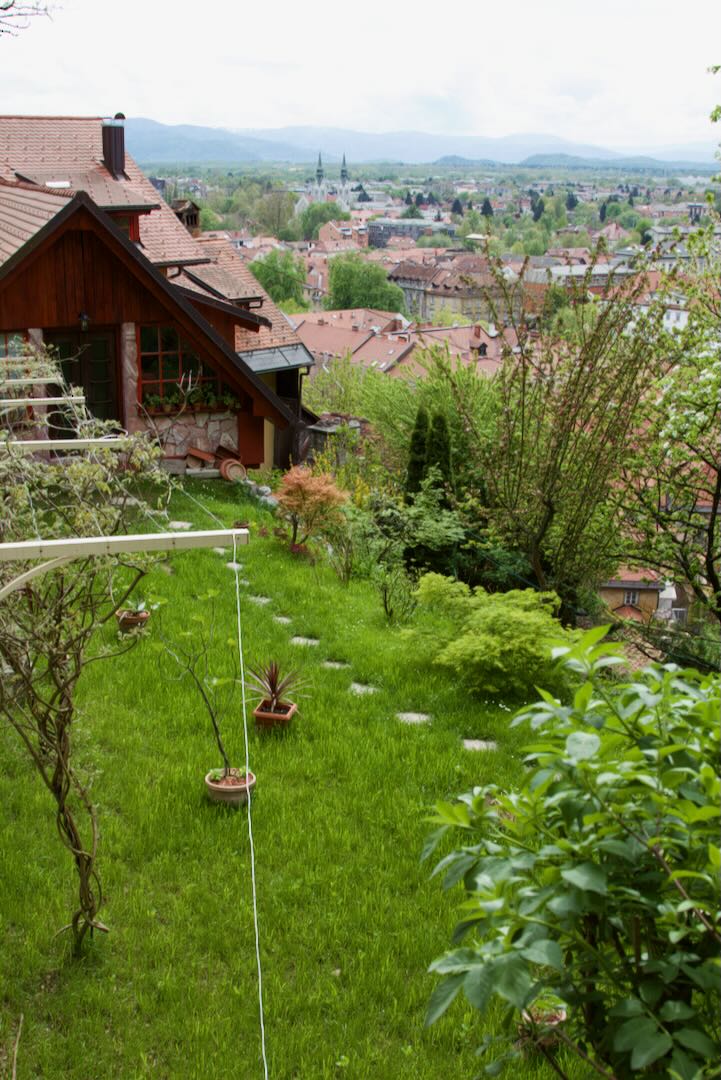 Overgrown garden on the castle hill slope above the city