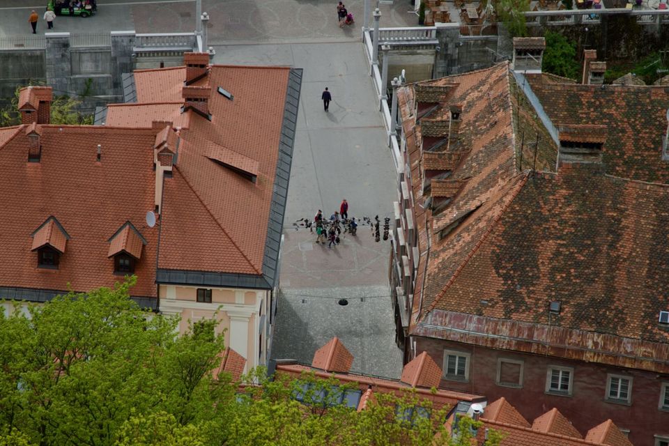 Looking down on a street and red roofs from the castle hill