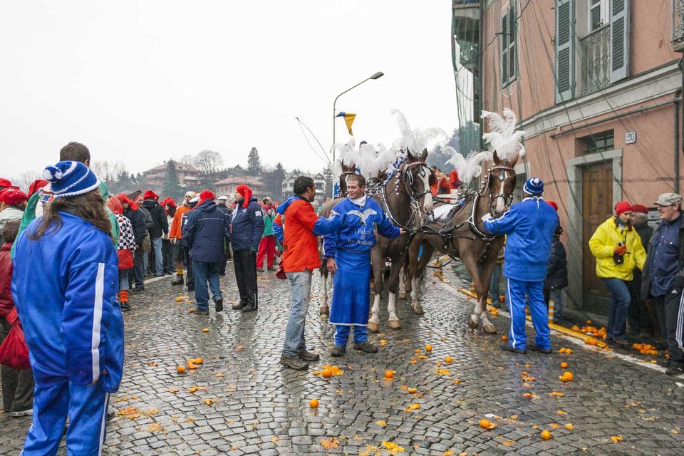 Horse team with white plumes among spectators on an orange-strewn street