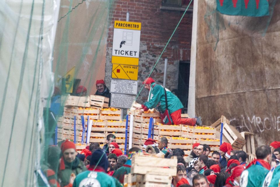 Man selecting oranges from stacked crates behind protective nets