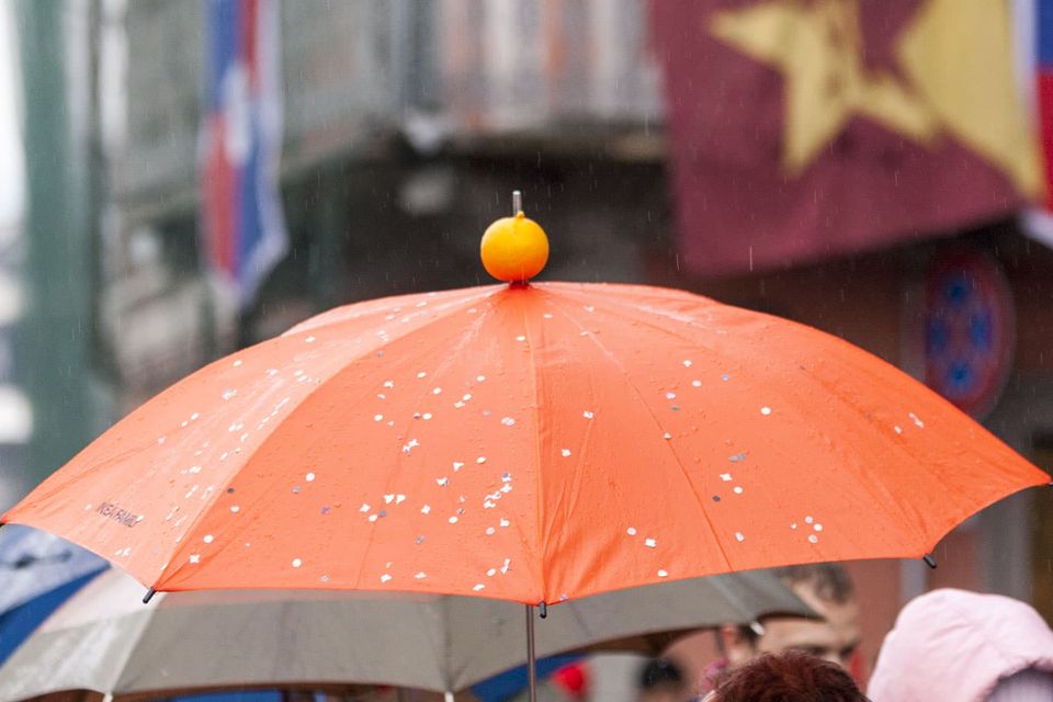 Orange perched on top of an orange umbrella in the drizzle