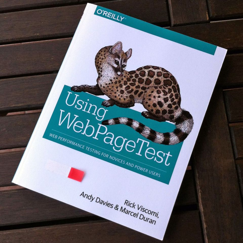 Libro Using WebPageTest di Rick Viscomi, A. Davies e M. Duran