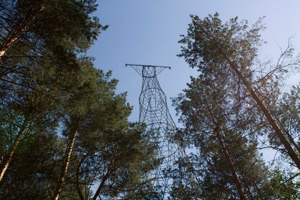 Lattice hyperboloid tower rising above pine trees