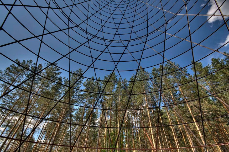 Looking up through the tower lattice at pine trees and blue sky