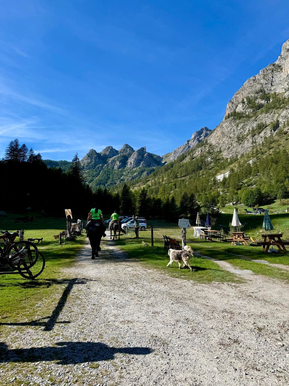 Horse riders and a dog on a gravel track by picnic tables