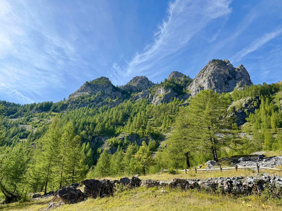 Larch woods and a dry-stone wall under a row of rocky peaks